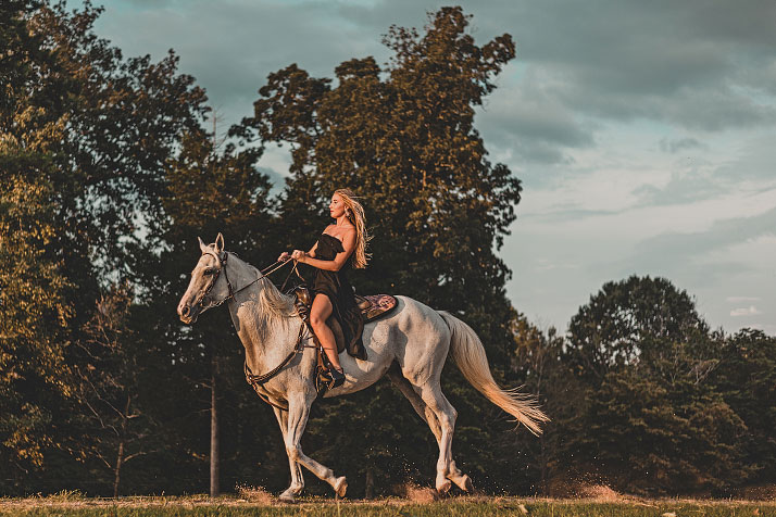 Horse Portraiture